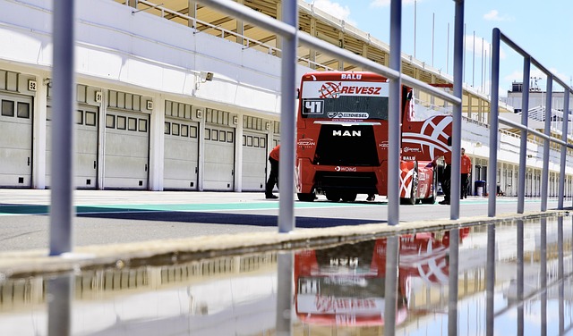 屬於他們的 屬於他們的