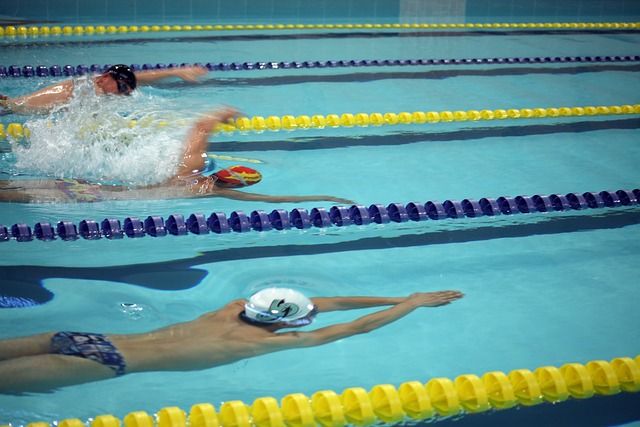 示了职业体 示了职业体