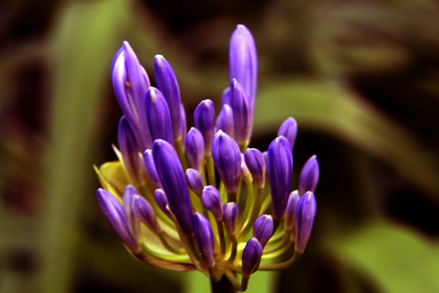 定的中游排 定的中游排