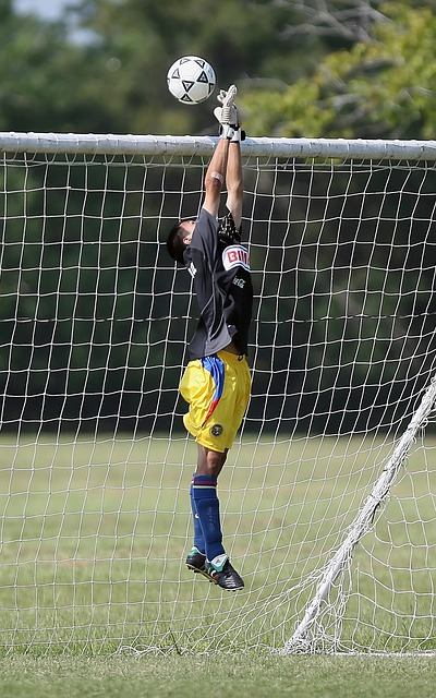 个赛季内凭 个赛季内凭