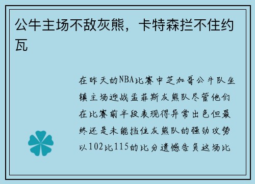 公牛主场不敌灰熊，卡特森拦不住约瓦